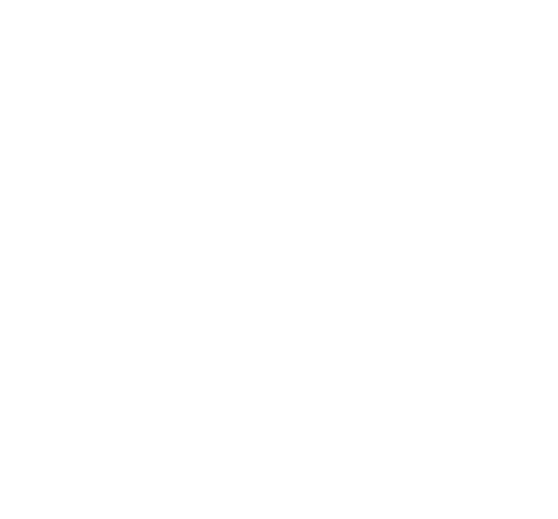 TigerBird Studio